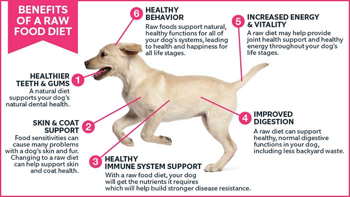 Raw Benefits Graphic