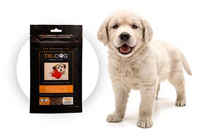 trudog boost me petco